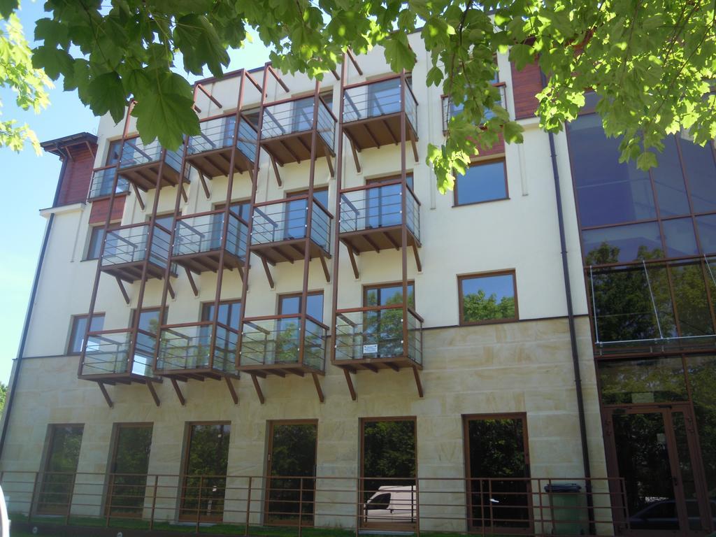 Borowinowa2